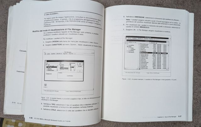 PC dos IBM e MS Windows guida per l'utente