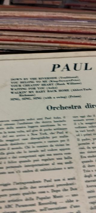 Vinile Paul Anka Orchestra Don Costa
