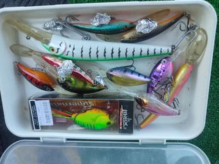 Esche da pesca Molix