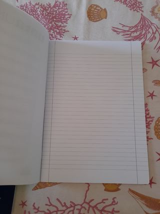 Quaderni a righe per quinta elementare