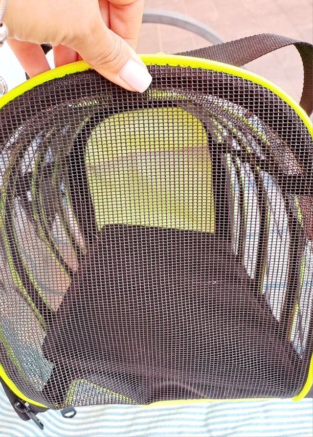 Trasportino per cani nero e verde