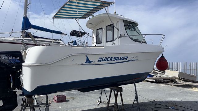 Barco Quicksilver 530
