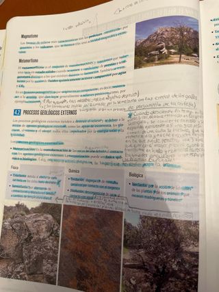 Proyecto: FanFest - Biología, Geología y Cienci...