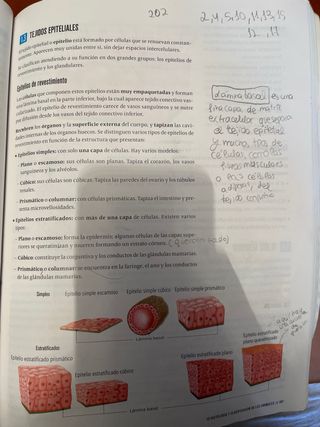 Proyecto: FanFest - Biología, Geología y Cienci...