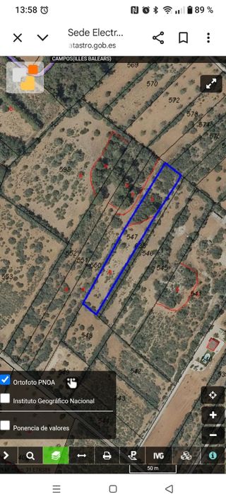 Terreno tranquilo zona Ses Comes (CAMPOS)