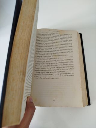 El asesinato de Pitágoras