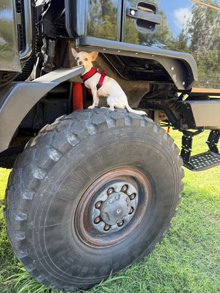 Neumáticos Michelin 14.00 R20 camiones 4x4 militar