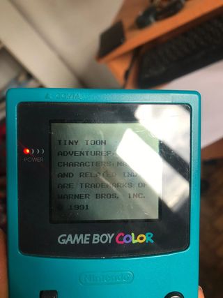 Tiny Toon Adventures: Babs' Big Break G