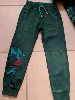 Conjunto chándal Tuc Tuc dinosaurios 10 años