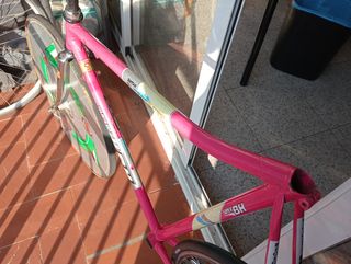 Cuadro Cinelli