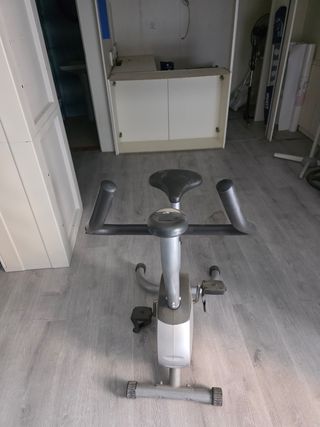 Bicicleta Estática Gris