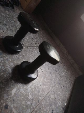 Pareja de Mancuernas 5 Kg