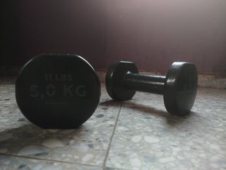 Pareja de Mancuernas 5 Kg