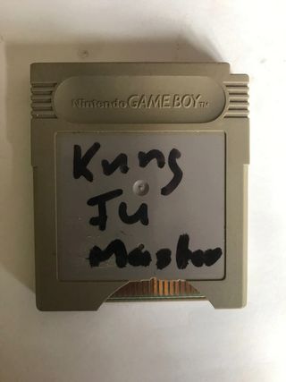 Kung Fu Master Game Boy Color