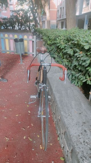Bicicleta bambú artesanal ecológica