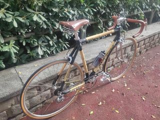 Bicicleta bambú artesanal ecológica