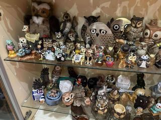 Colección de Búhos