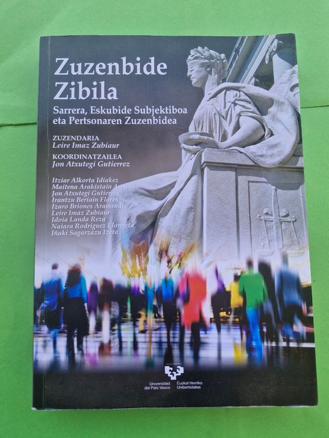 Zuzenbide zibila: Sarrera, eskubide subjektiboa...