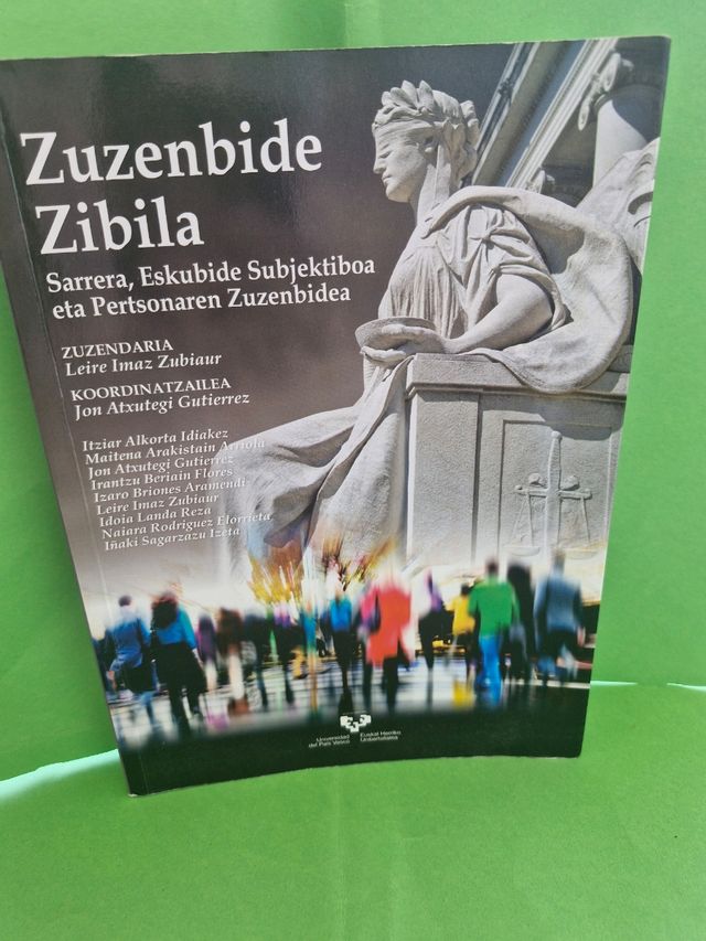 Zuzenbide zibila: Sarrera, eskubide subjektiboa...