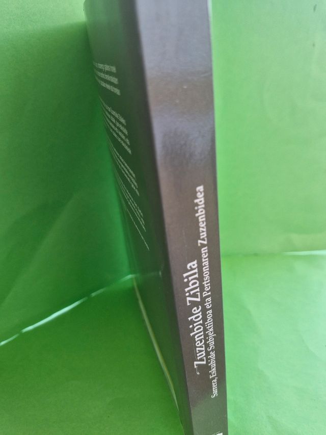 Zuzenbide zibila: Sarrera, eskubide subjektiboa...