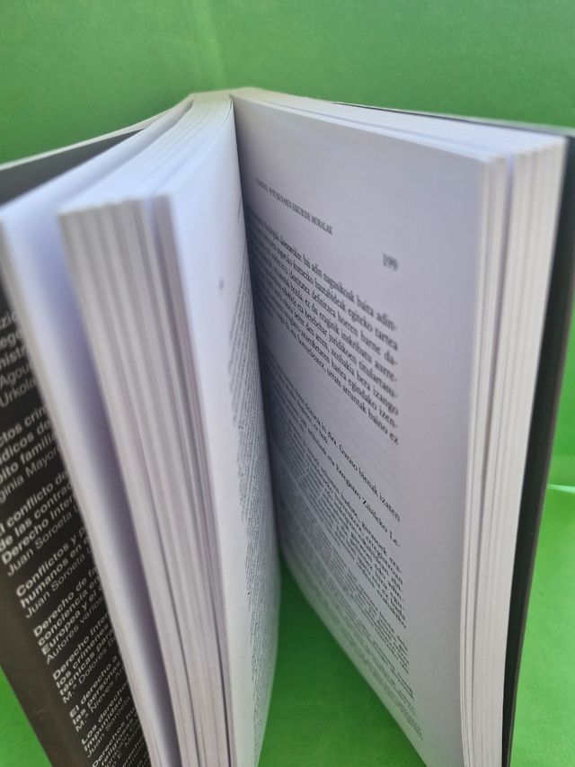 Zuzenbide zibila: Sarrera, eskubide subjektiboa...