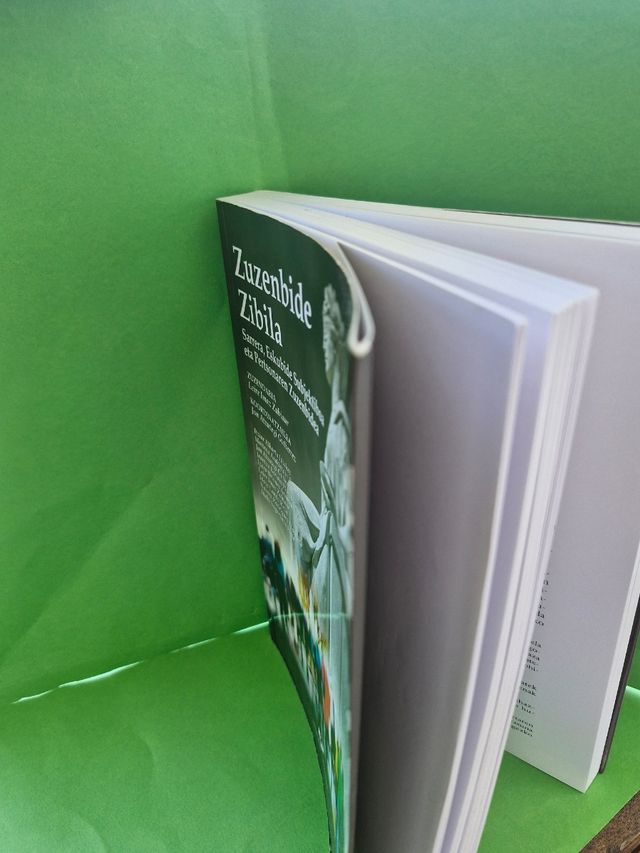 Zuzenbide zibila: Sarrera, eskubide subjektiboa...