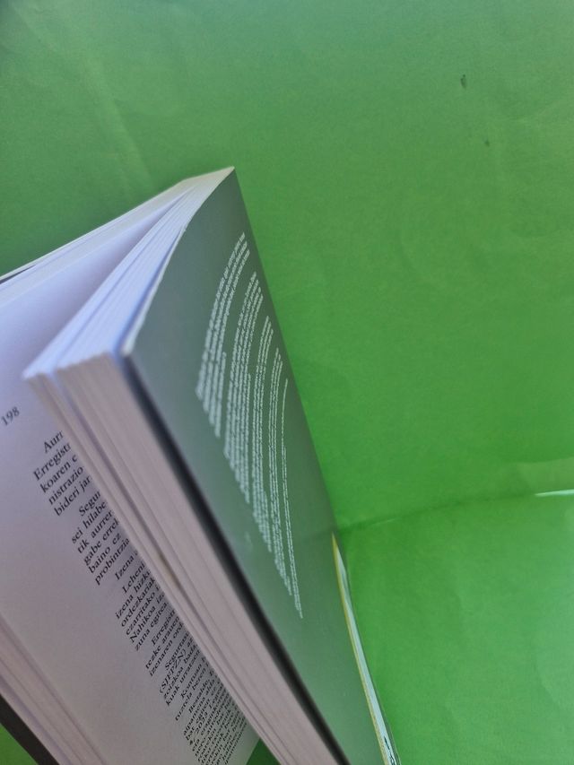 Zuzenbide zibila: Sarrera, eskubide subjektiboa...