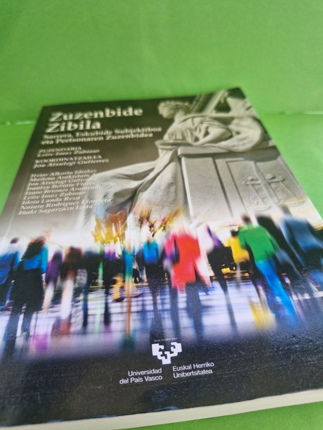 Zuzenbide zibila: Sarrera, eskubide subjektiboa...