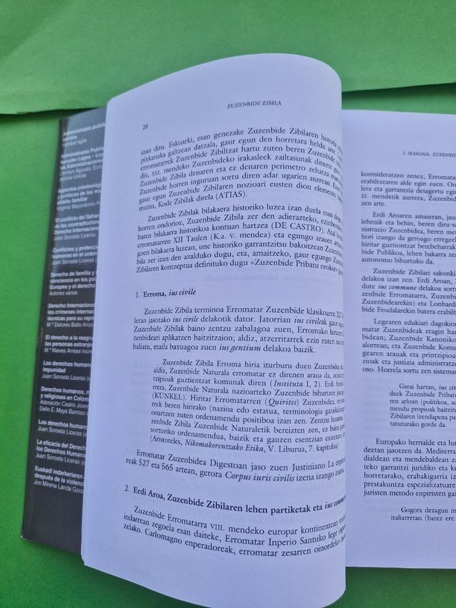 Zuzenbide zibila: Sarrera, eskubide subjektiboa...