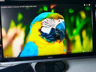Monitor Dell ST2420L 24'' Negro