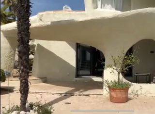 Jeaques Couelle pesce