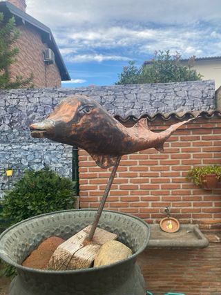 Jeaques Couelle pesce