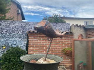 Jeaques Couelle pesce