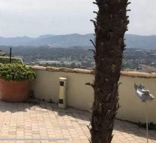 Jeaques Couelle pesce