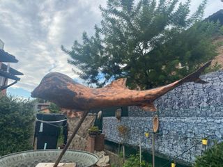 Jeaques Couelle pesce