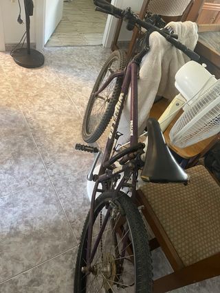 Bicicleta Wheeler Pro-Line
