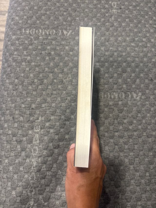 Los escarabajos vuelan al atardecer