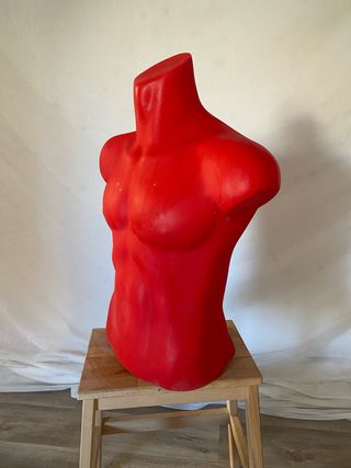 Maniquí Torso Hombre