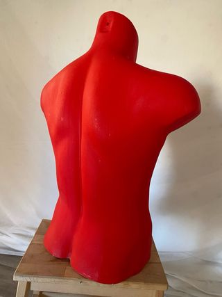 Maniquí Torso Hombre