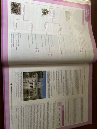Libro de texto Geografía e historia 4 ESO SM