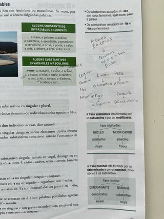 lingua e literatura 1º ESO