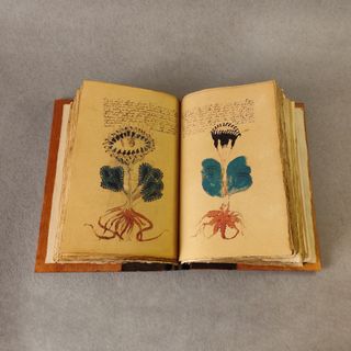 Voynich