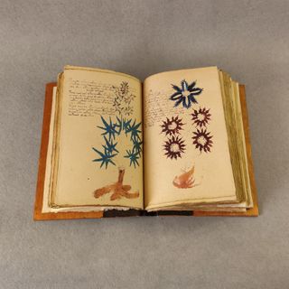 Voynich