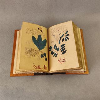 Voynich