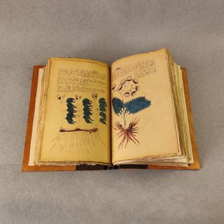 Voynich