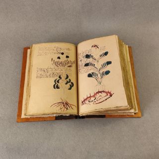 Voynich