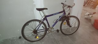 Bicicleta de Montaña SUNTRACK azul