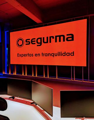 ALARMA PROFESIONAL ¡INSTALACIÓN GRATUITA!