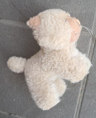 Peluche gatto beige