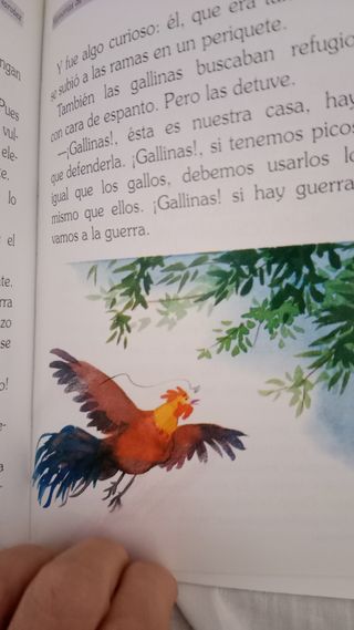 Memorias de Una Gallina